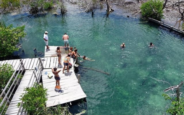 Discover the Wonders of Holbox, Cenote and Passion Island. Transport included photo 4