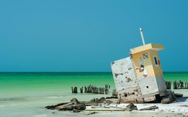 Discover Holbox the Most Colorful Island. Includes Cenote & Passion Island photo 10