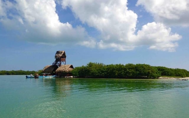 Discover the Wonders of Holbox, Cenote and Passion Island. Transport included photo 12