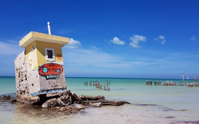Discover Holbox the Most Colorful Island. Includes Cenote & Passion Island photo 13