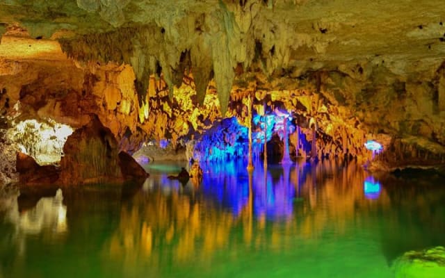 Tortugas & Cenotes Snorkel With Turtles Tour photo 6