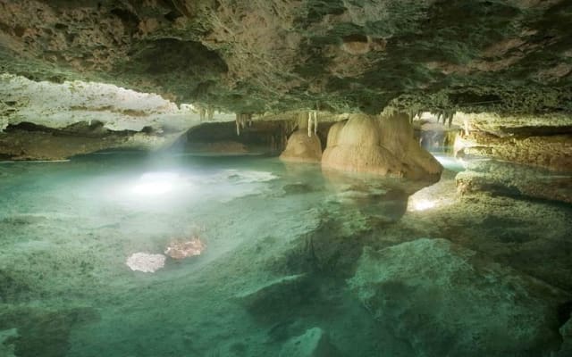 Coba Adventure: ATV, Rappel, Ziplines, Cenote, Archeological Zone Tour photo 3
