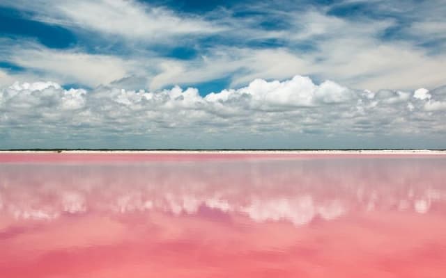Tour to Las Coloradas Pink Waters and Boat Ride in Rio Lagartos with Lunch. photo 2