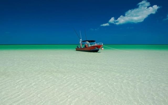 Tour Holbox by Boat - Two Island and One Cenote from Riviera Maya photo 6