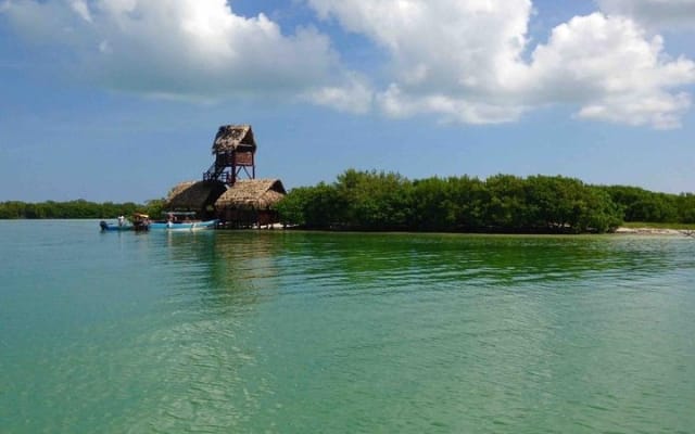 Tour Holbox by Boat - Two Island and One Cenote from Riviera Maya photo 10