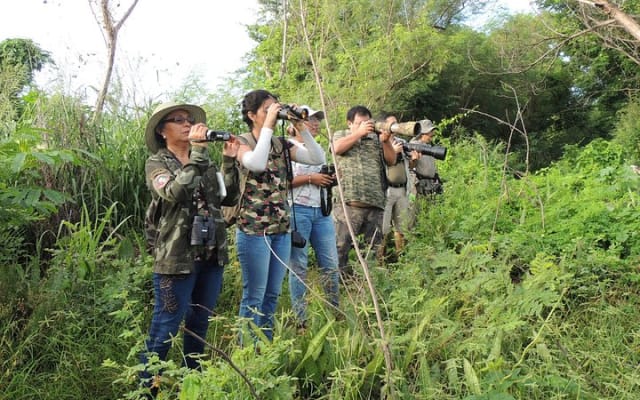 Bird Watching Tour near Merida-Half Day photo 4