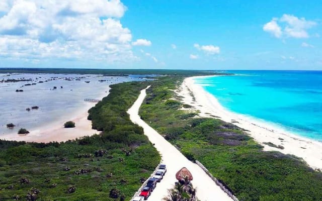 Travel ABOARD A JEEP and visit the most iconic places of Cozumel! photo 11