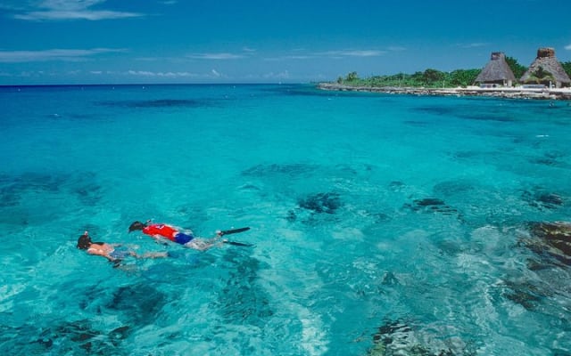 Travel ABOARD A JEEP and visit the most iconic places of Cozumel! photo 12