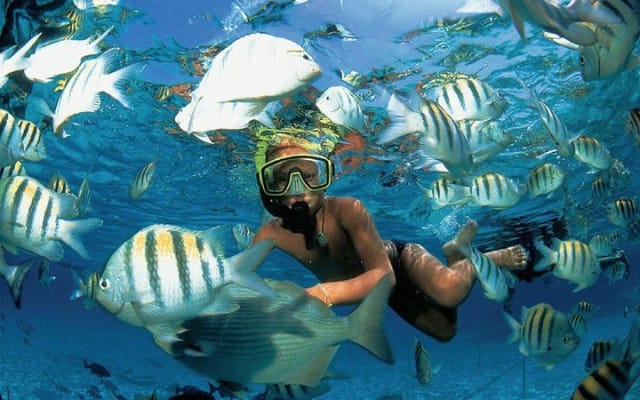 Catamaran to Isla Mujeres with Snorkel, Open Bar & Beach Club photo 3