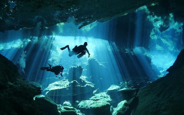 Plongée en cenotes photo 2
