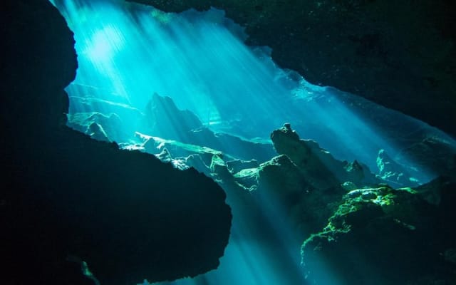 Plongée en cenotes photo 4