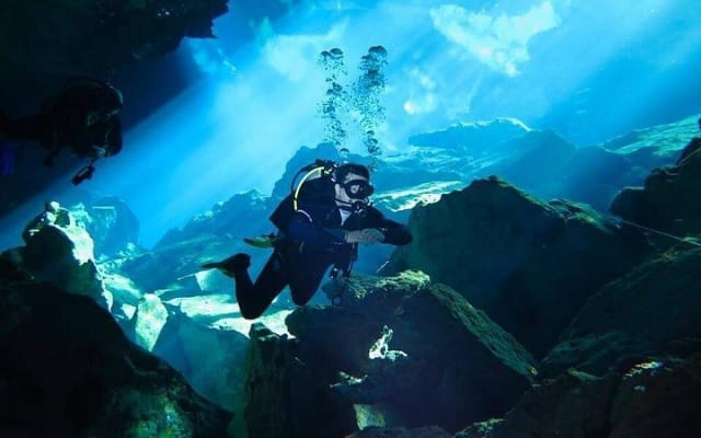 Plongée en cenotes photo 8
