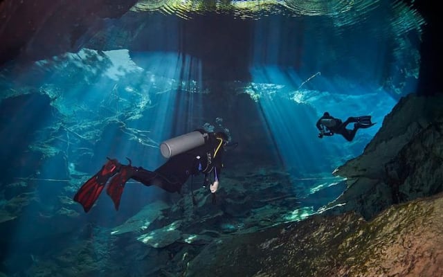 Plongée en cenotes photo 5