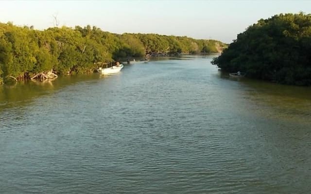 Río Lagartos y Las Coloradas Private Tour from Merida photo 2