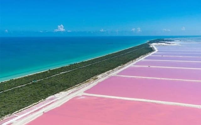 Río Lagartos y Las Coloradas Private Tour from Merida photo 4