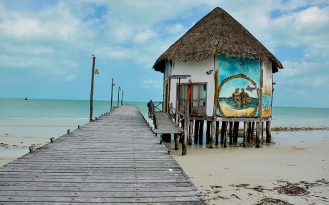 Discover the Wonders of Holbox, Cenote and Passion Island. Transport included photo 11