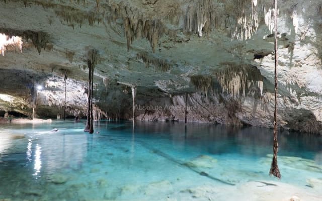Cenotes Taak Bi Ha & Nicte Ha – VIP Snorkeling Private Tour photo 10