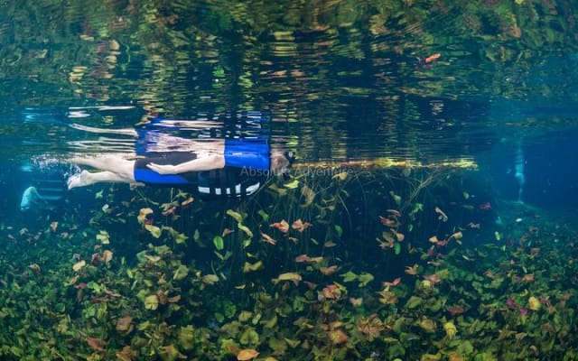 Cenotes Taak Bi Ha & Nicte Ha – VIP Snorkeling Private Tour photo 6