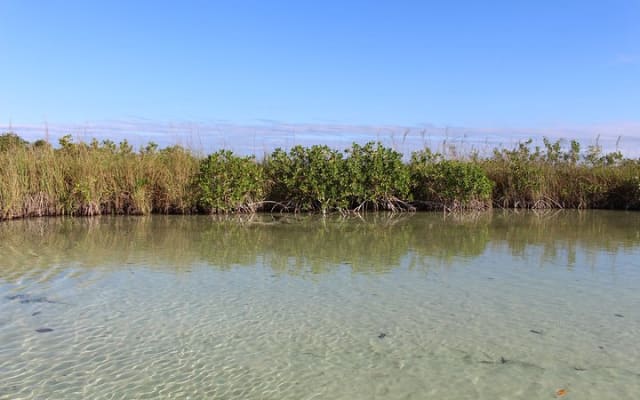 Private Sian Kaan Muyil Lazy River Tour photo 6