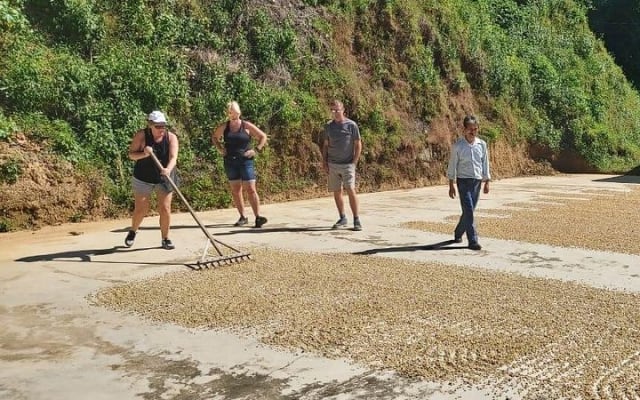 Coffee Plantation Experience photo 2
