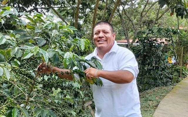 Coffee Plantation Experience photo 5