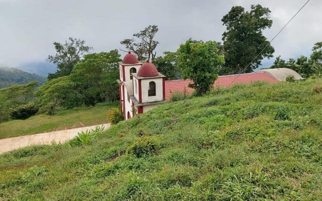 Coffee Plantation Experience photo 6