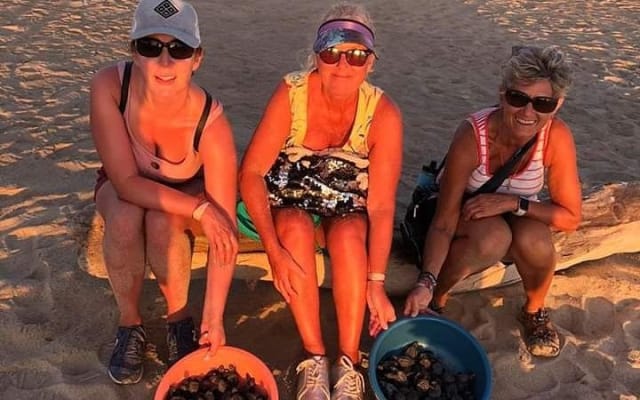 Amazing Turtle Release Tour photo 3