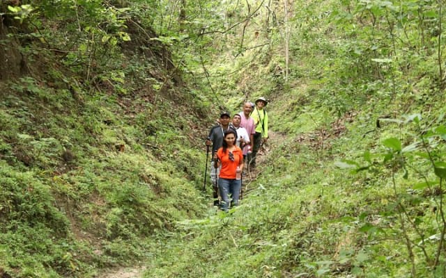 Jungle Hike Tour