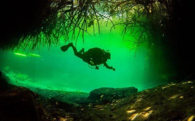 2 tanks Cenote Diving Adventure in Tulum for Certified Divers photo 5