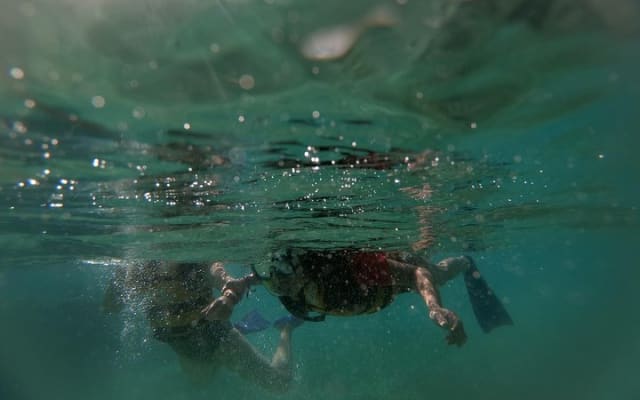 Speedboat adventure through the Nichupte Lagoon. Snorkel included. photo 8