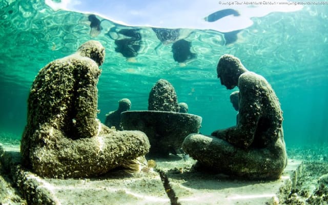 The most Intrepid Speedboat Adventure in Cancun Snorkel included photo 12
