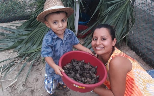 Baby Turtle Release in Coyote Escobilla Beach