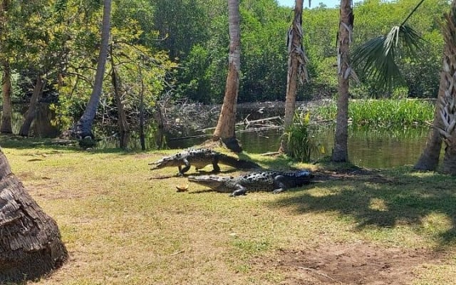 Croc´s & Turtle Aquarium photo 11