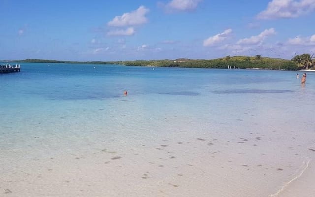 Isla Contoy photo 7