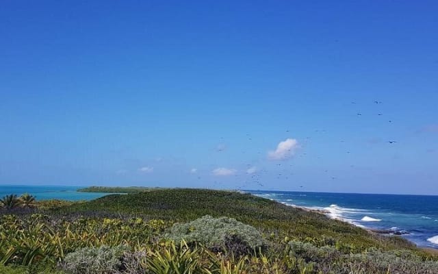 Isla Contoy photo 8