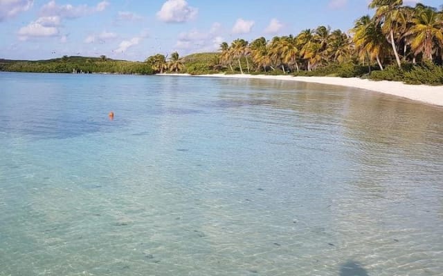 Isla Contoy photo 9