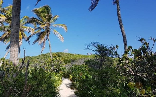 Isla Contoy photo 11