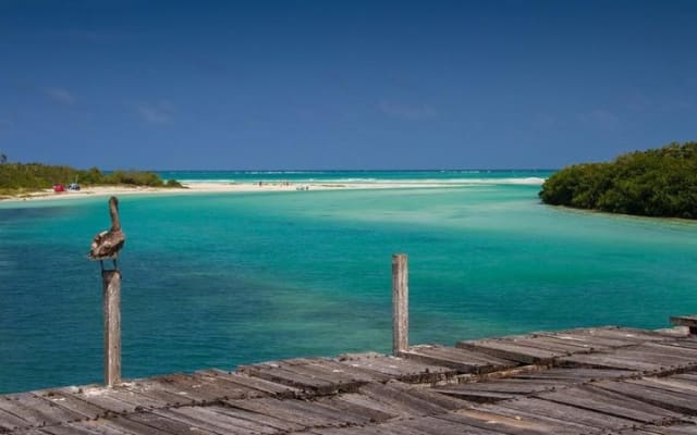 Sian Ka'an the green jewel, Biosphere Reserve Tour. Lunch & Snorkel included. photo 6