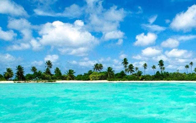 Sian Ka'an the green jewel, Biosphere Reserve Tour. Lunch & Snorkel included. photo 8