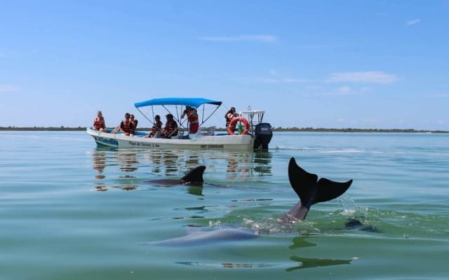 Sian Ka'an the green jewel, Biosphere Reserve Tour. Lunch & Snorkel included. photo 10