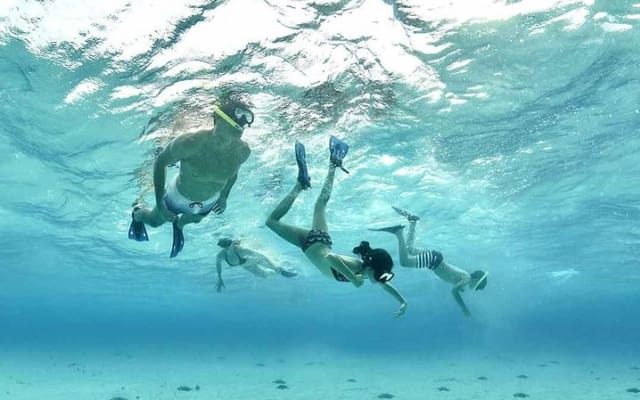 Travel ABOARD A JEEP and visit the most iconic places of Cozumel! photo 9