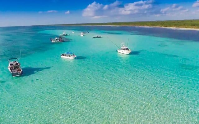 Travel ABOARD A JEEP and visit the most iconic places of Cozumel! photo 13