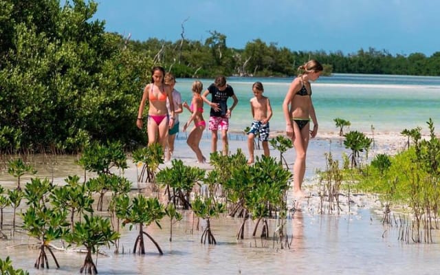 Discover the magic at HOLBOX & Punta Mosquito. Lunch included. photo 11