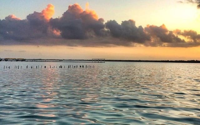 Magical BACALAR TOUR with Pontoon Boat ride. (Transportation + Breakfast + Food) photo 8
