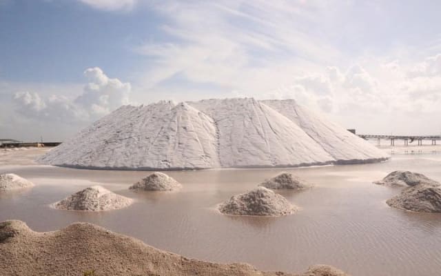 Full-Day Tour to Las Coloradas Pink Paradise in Yucatan and Rio Lagartos. photo 4
