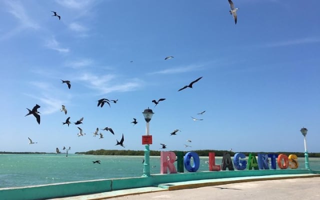 Full-Day Tour to Las Coloradas Pink Paradise in Yucatan and Rio Lagartos. photo 8
