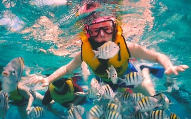 Snorkel and swim in Cozumel el Cielo Reef, Palancar and Colombia photo 5