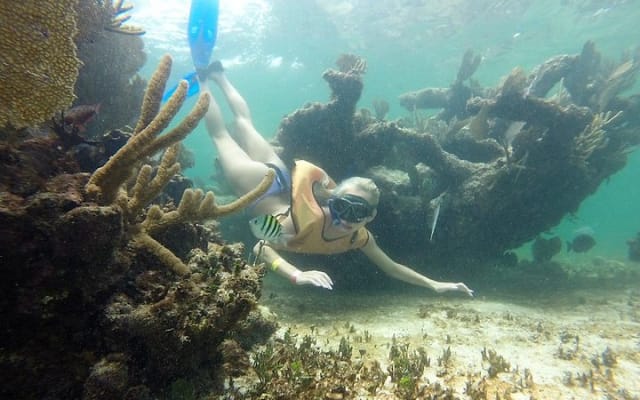 Puerto Morelos Half-Day Snorkel Tour photo 7