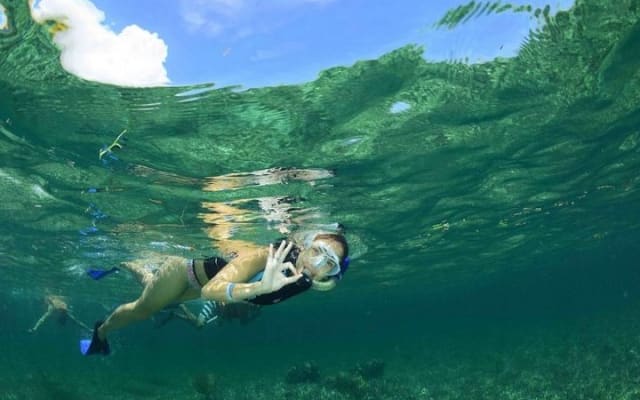 Puerto Morelos Half-Day Snorkel Tour photo 8