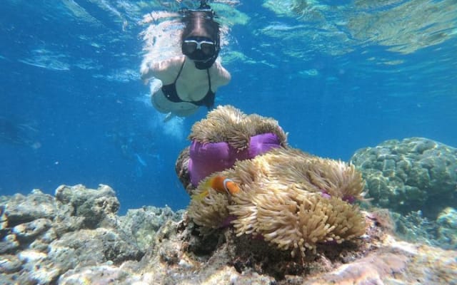 Puerto Morelos Half-Day Snorkel Tour photo 9